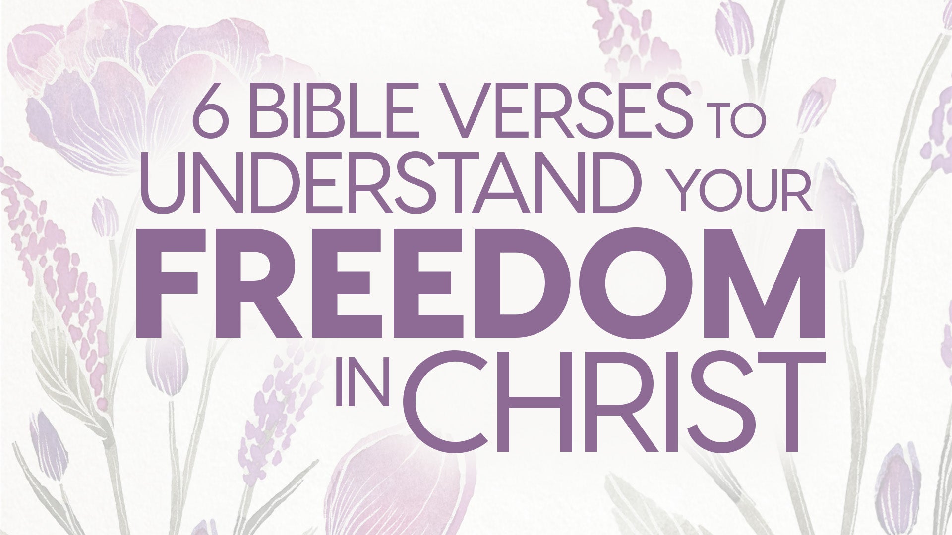 Understand Your Freedom in Christ